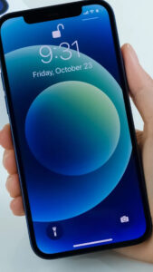 Apple-iPhone-12-usado-2